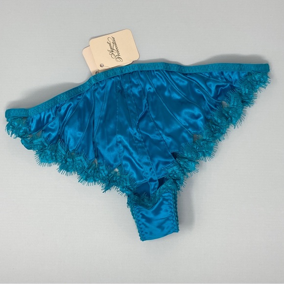 Agent Provocateur Lavelle Silk Turquoise Brief AP4 Large NWT $190 - Picture 8 of 10
